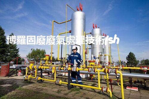 博羅固廢廢氣處理技術(shù)，到底有多厲害？